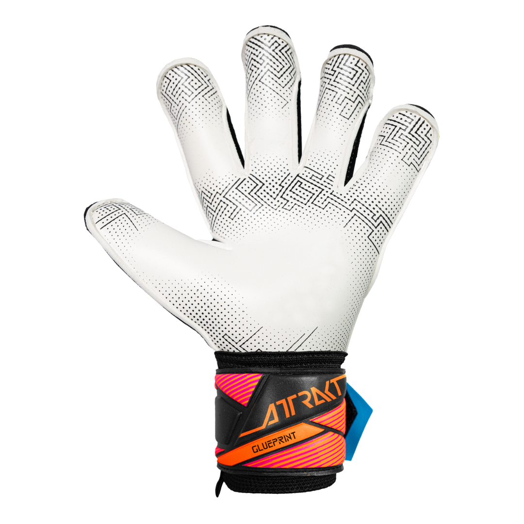 Guantes de portero Reusch Attrakt Evolution Glueprint