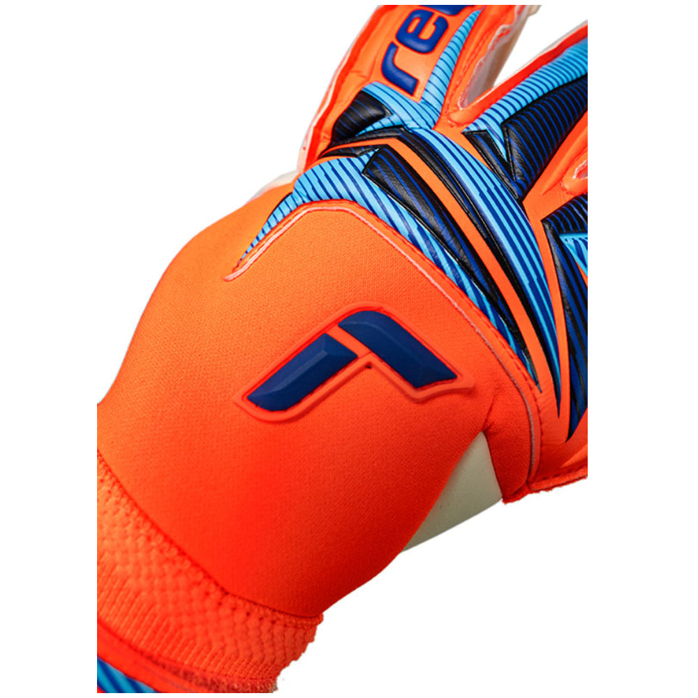 World Cup Attrakt Gold X Evolution